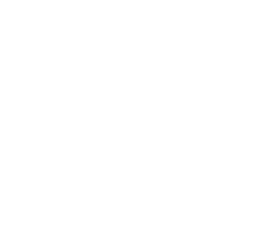 Logo-TextureWhite